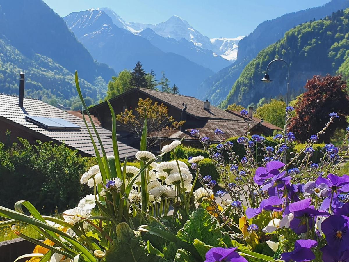 Chalet-Gafri - Bnb - Fruehstueckspension Und Gastfreundschaft Wilderswil Exterior photo