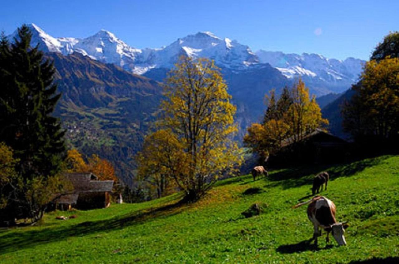 Chalet-Gafri - Bnb - Fruehstueckspension Und Gastfreundschaft Wilderswil Exterior photo